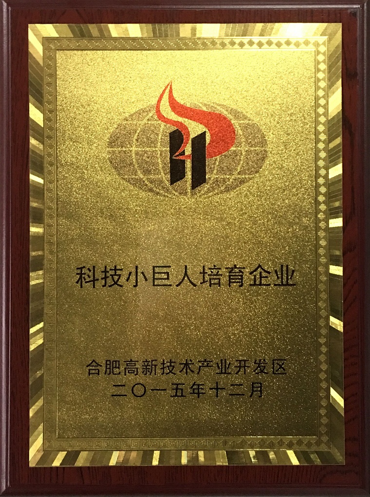合肥市高新区科技小巨人