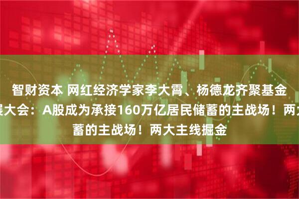 智财资本 网红经济学家李大霄、杨德龙齐聚基金高质量发展大会：A股成为承接160万亿居民储蓄的主战场！两大主线掘金