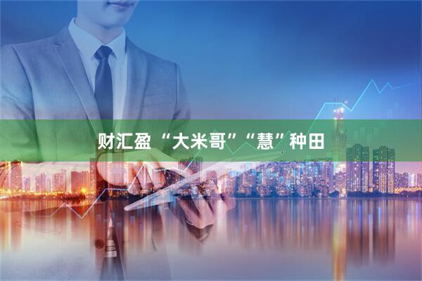 财汇盈 “大米哥”“慧”种田