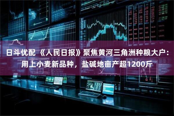 日斗优配 《人民日报》聚焦黄河三角洲种粮大户：用上小麦新品种，盐碱地亩产超1200斤