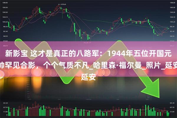 新影宝 这才是真正的八路军：1944年五位开国元帅罕见合影，个个气质不凡_哈里森·福尔曼_照片_延安