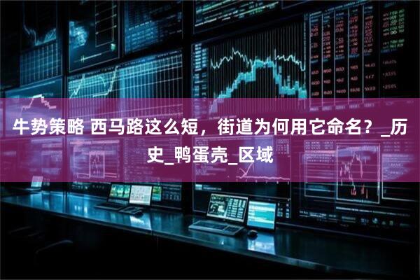 牛势策略 西马路这么短，街道为何用它命名？_历史_鸭蛋壳_区域