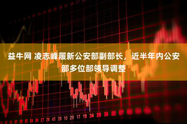 益牛网 凌志峰履新公安部副部长，近半年内公安部多位部领导调整