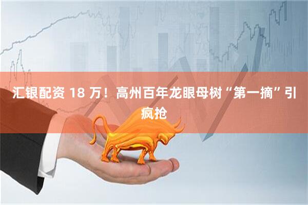 汇银配资 18 万！高州百年龙眼母树“第一摘”引疯抢