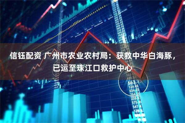 信钰配资 广州市农业农村局：获救中华白海豚，已运至珠江口救护中心