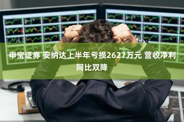 申宝证券 安纳达上半年亏损2627万元 营收净利同比双降