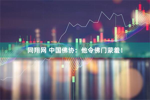 同翔网 中国佛协：他令佛门蒙羞！