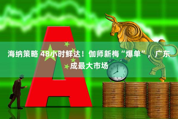 海纳策略 48小时鲜达！伽师新梅“爆单”，广东成最大市场