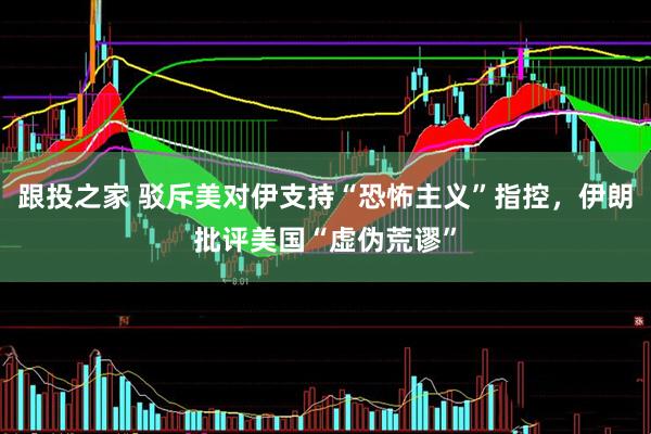 跟投之家 驳斥美对伊支持“恐怖主义”指控，伊朗批评美国“虚伪荒谬”