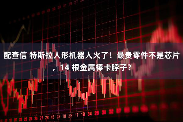 配查信 特斯拉人形机器人火了！最贵零件不是芯片，14 根金属棒卡脖子？